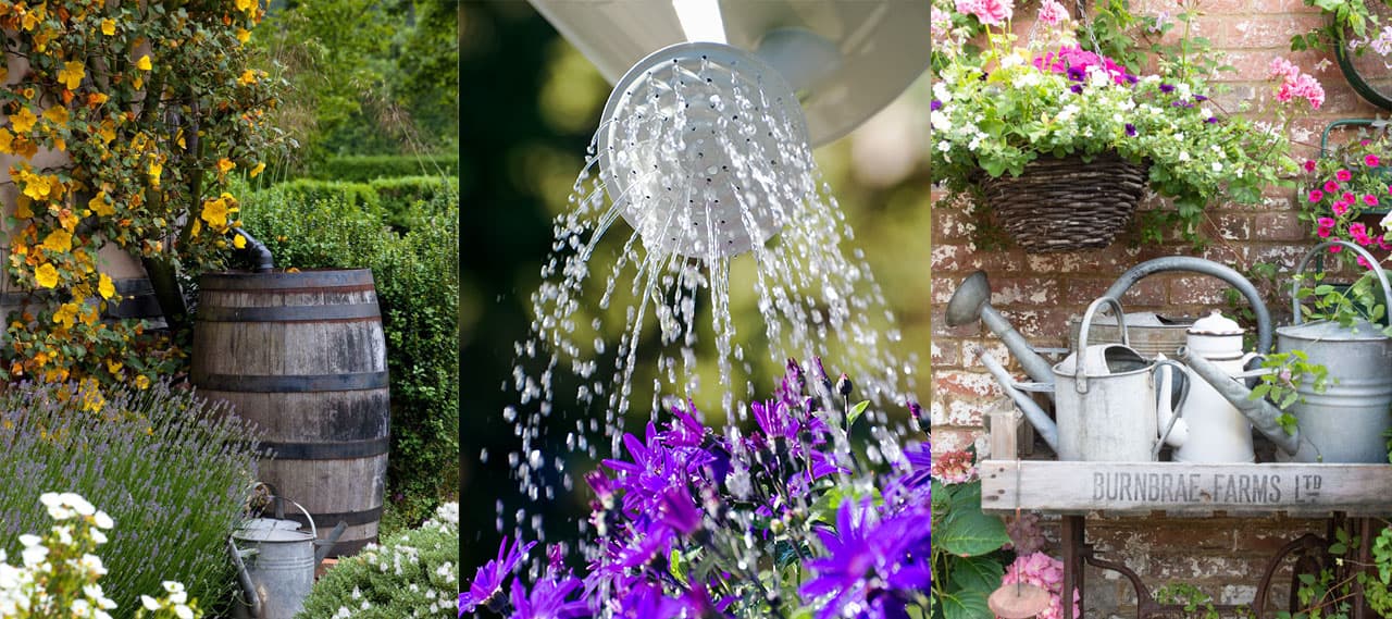 All4Water: Service und Qualität für Ihre Regenwassernutzungsanlage