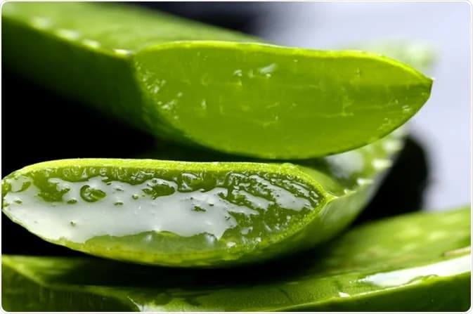 Erleben Sie einen lebendigen Lebensstil mit Forever Living Aloe Vera