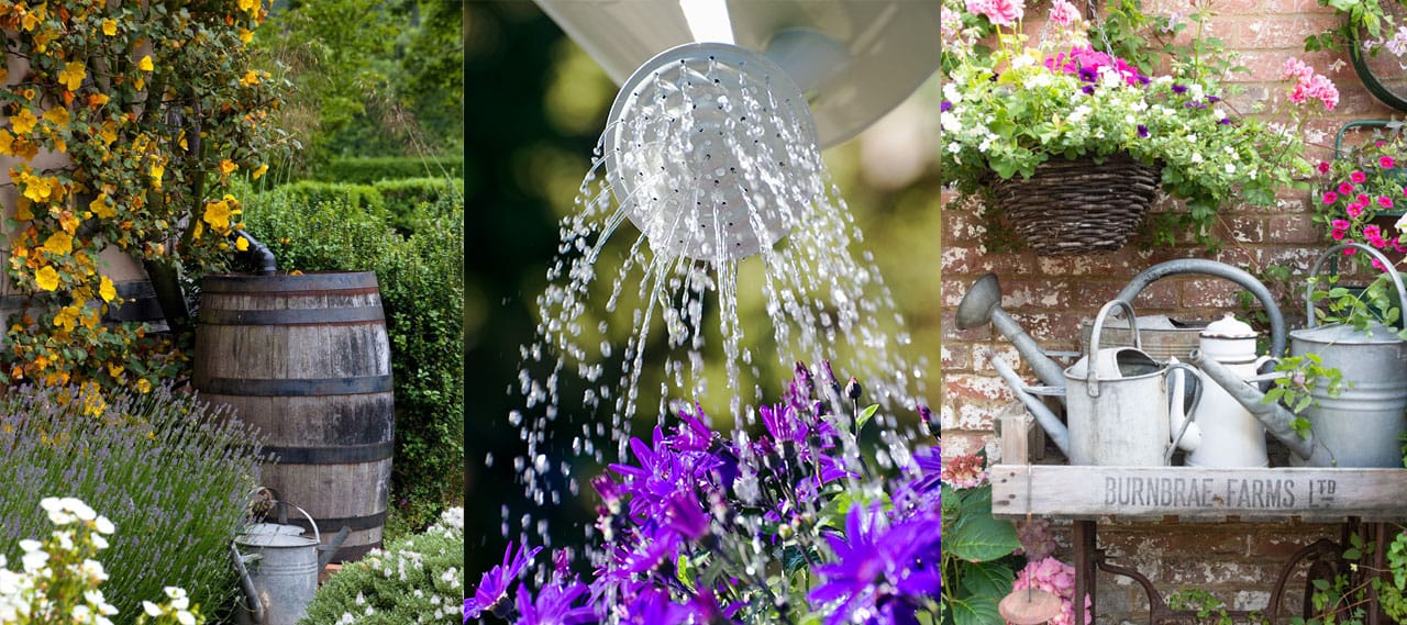 All4Water: Service und Qualität für Ihre Regenwassernutzungsanlage