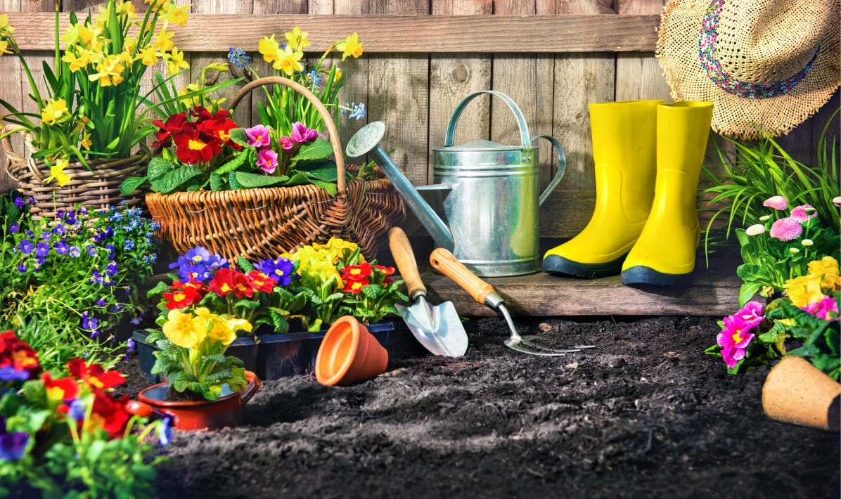 Gartenliebe auf allen Ebenen: Erfahre mehr in unserem Garten-Blog